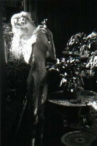 scl (65) - コピー     